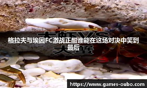 格拉夫与埃因FC激战正酣谁能在这场对决中笑到最后